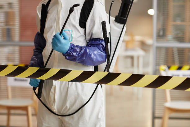 Professional Hoarding Cleanup technician working in White Hall, IL