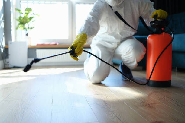 Reliable Hoarding Cleanup contractor in White Hall, IL by Dulley Family Biohazard Services